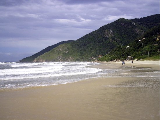Turistas aproveitam chuvarada em Florianópolis para estocar água limpa