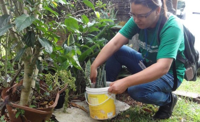 Chapecó vai receber apoio das Forças Armadas no combate ao Aedes aegypti