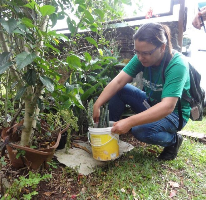 Chapecó vai receber apoio das Forças Armadas no combate ao Aedes aegypti