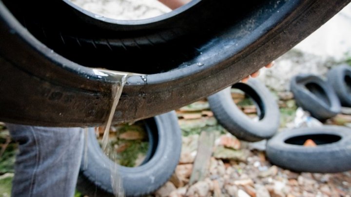 Não utilize armadilhas caseiras para combater o Aedes aegypti