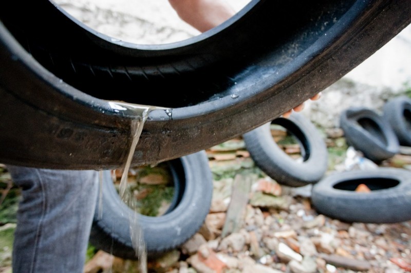 Não utilize armadilhas caseiras para combater o Aedes aegypti