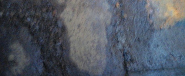 Fotos mostram interior da balsa de Volta Grande com aparentes desgastes