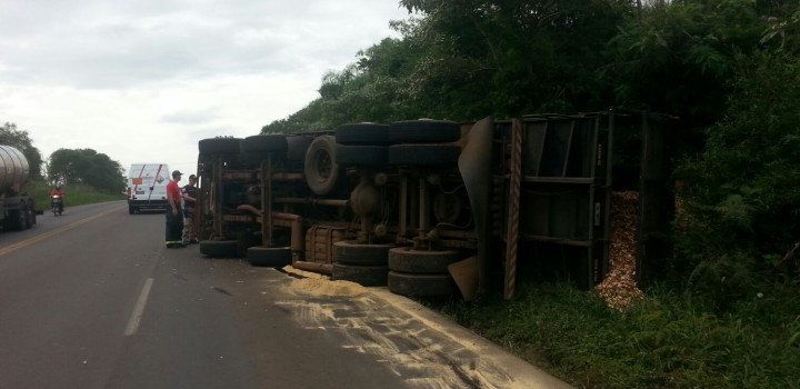 Caminhão carregado de cavaco de madeira tomba na BR 282