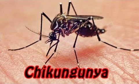 Ações de combate ao Aedes aegypti não param em Chapecó