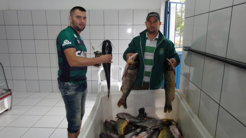 peixes-nas-feiras-livres-2-