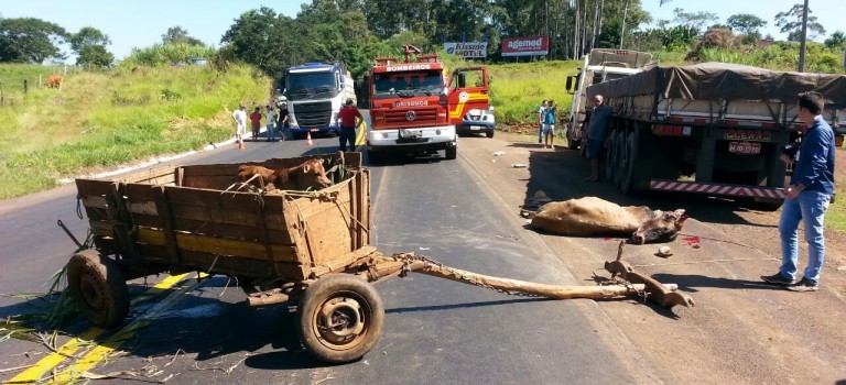 Colisão entre caminhão e carroça deixa homem gravemente ferido na BR-282 em SMO