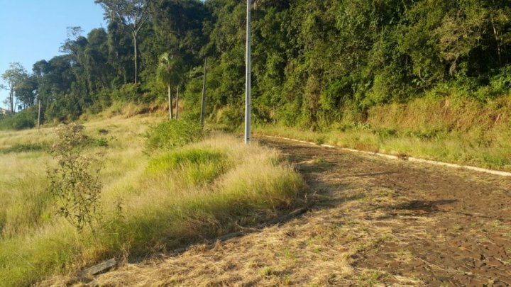 Polícia Civil realiza reconstituição de latrocínio