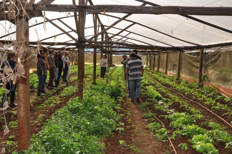 31052016-educ-dia-organico-na-escola-2-