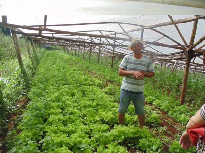 Prefeitura promove dia do alimento orgânico