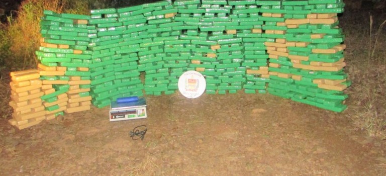 Polícia apreende quase 500 quilos de maconha