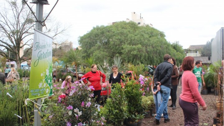 Feira de Mudas Ornamentais e Frutíferas acontece em Julho