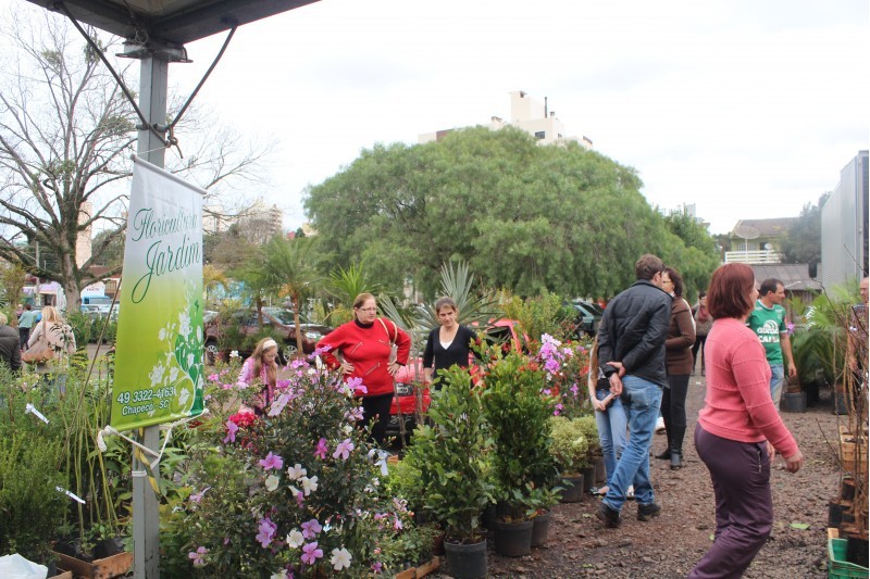 Feira de Mudas Ornamentais e Frutíferas acontece em Julho