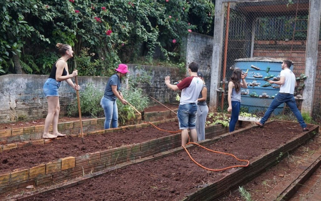 Saúde na Escola: Reativação de Horta Comunitária no São Pedro