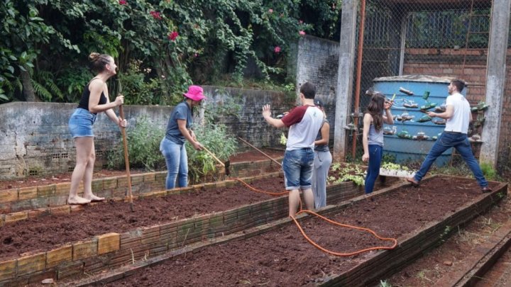 Saúde na Escola: Reativação de Horta Comunitária no São Pedro