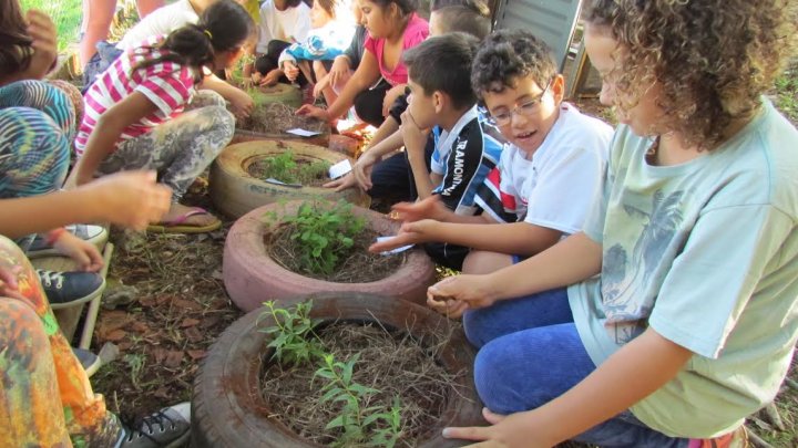 Cultura Popular: alunos constroem horta medicinal