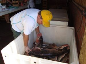 Feira do Peixe inicia na próxima semana