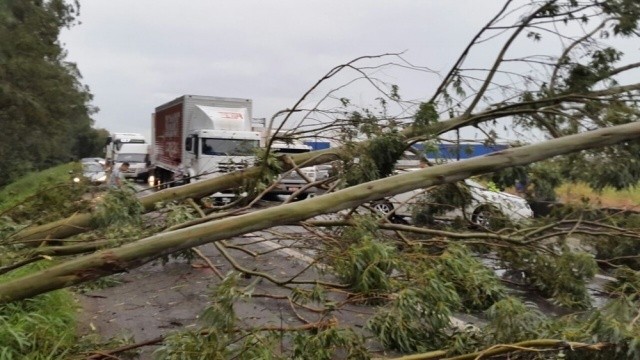 Temporal causa prejuízos em diversas regiões de SC