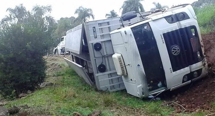 SÃO CARLOS – Caminhão com mil leitões tomba no interior