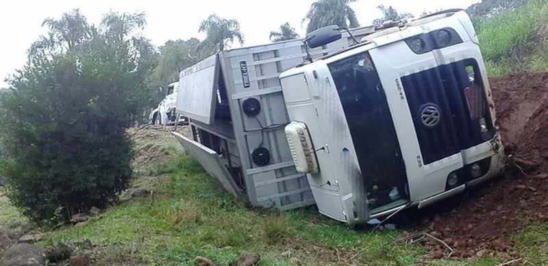 SÃO CARLOS – Caminhão com mil leitões tomba no interior