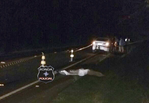 CORDILHEIRA ALTA – Homem morre após se jogar na frente de veículo