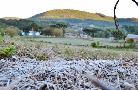 Geada na região e neve na Serra Catarinense a partir da sexta-feira, dia 9