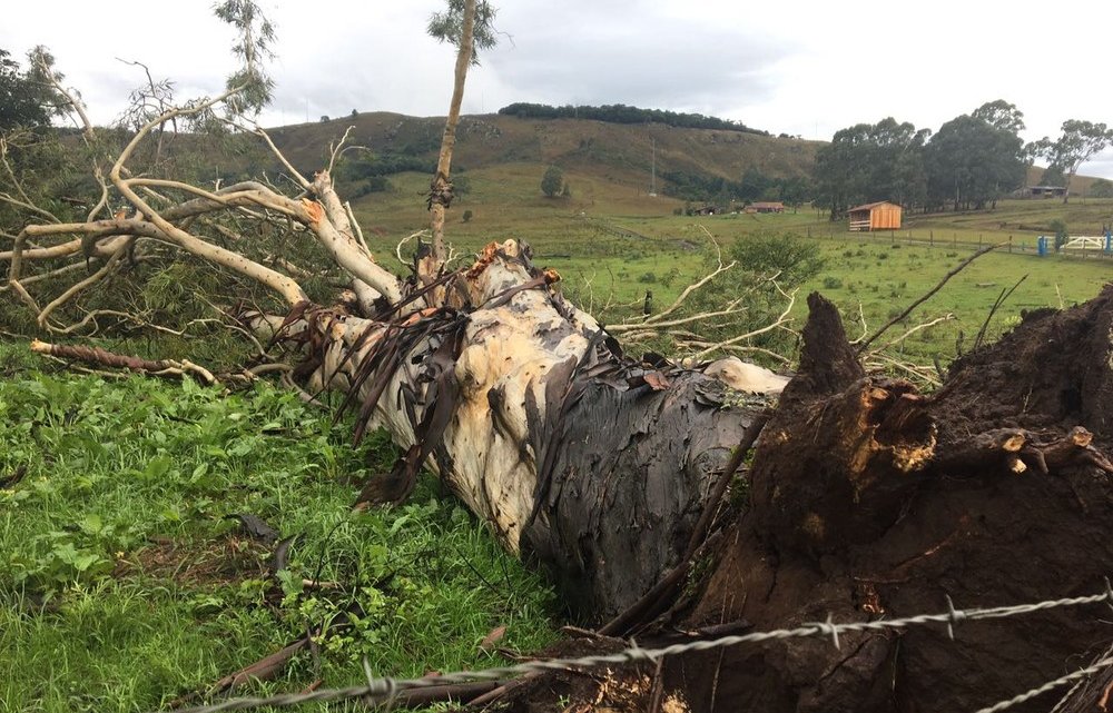 SC registra queda de granizo e rajadas de vento de até 104 km/h