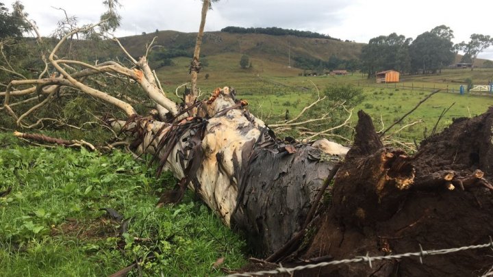 SC registra queda de granizo e rajadas de vento de até 104 km/h