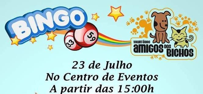 ONG Amigo dos Bichos realizará Bingo Beneficente