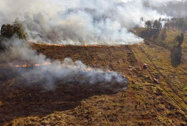 Chapecó registra 23 incêndios em vegetação nos últimos 13 dias