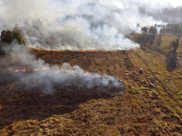 Chapecó registra 23 incêndios em vegetação nos últimos 13 dias