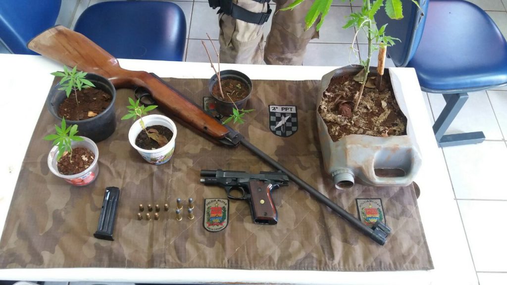 Após disparos de arma de fogo PM apreende pés de maconha, espingarda e pistola .765 na EFAPI