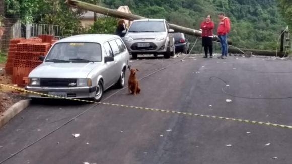 Mulher é decapitada por fio de energia caído devido ao temporal