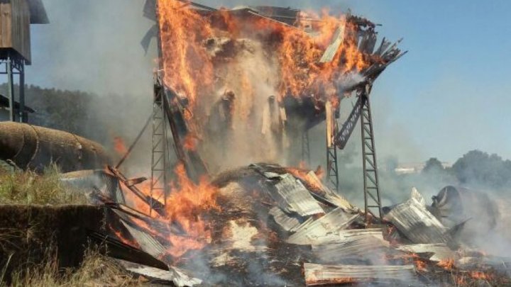 Bombeiros combatem incêndio em fábrica de maravalhas em Xaxim