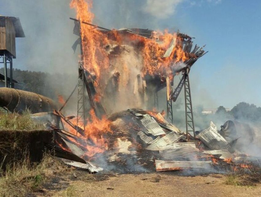 Bombeiros combatem incêndio em fábrica de maravalhas em Xaxim