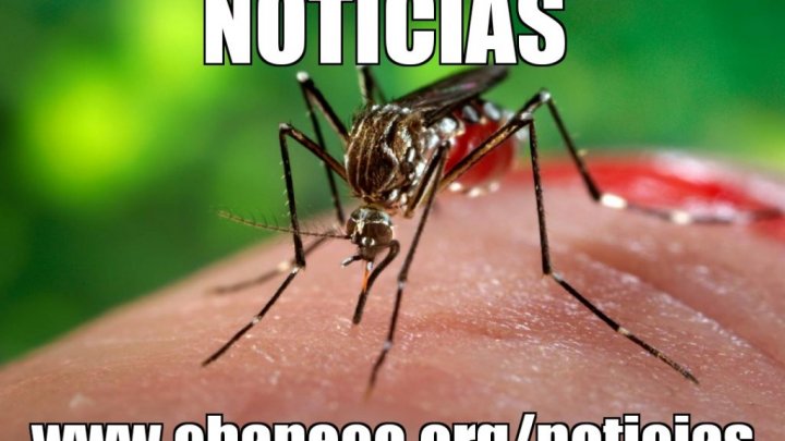 Chapecó realiza mutirão de combate ao Aedes Aegypti