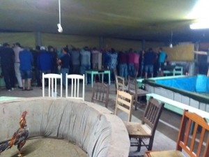 Cerca de 30 pessoas são detidas por participação em rinha de galo em Concórdia