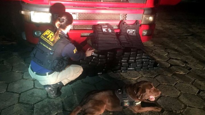 Ação conjunta PRF e Polícia Civil apreende 90 quilos de crack na BR 282 em Maravilha