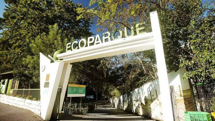 Homem é preso após se masturbar e perseguir mulher no Ecoparque