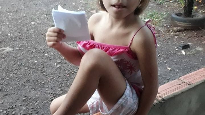 Chapecó – Menina é picada por cobra e precisa de ajuda