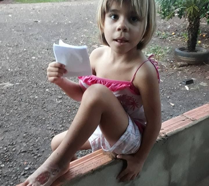 Chapecó – Menina é picada por cobra e precisa de ajuda