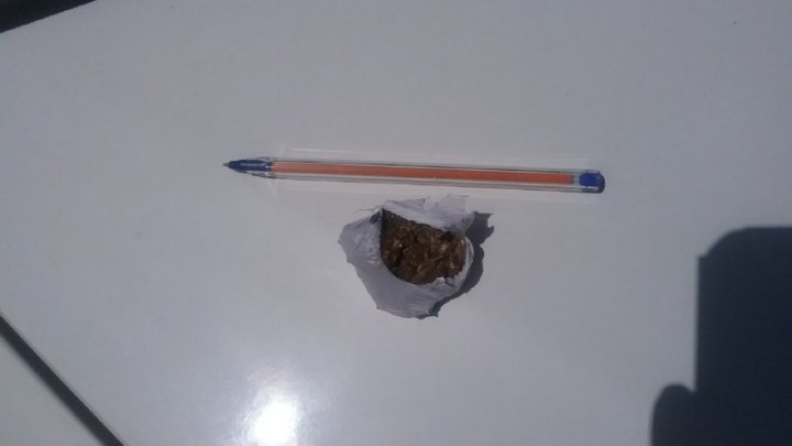 Homem de 21 anos é apreendido com maconha no Bom Pastor em Chapecó