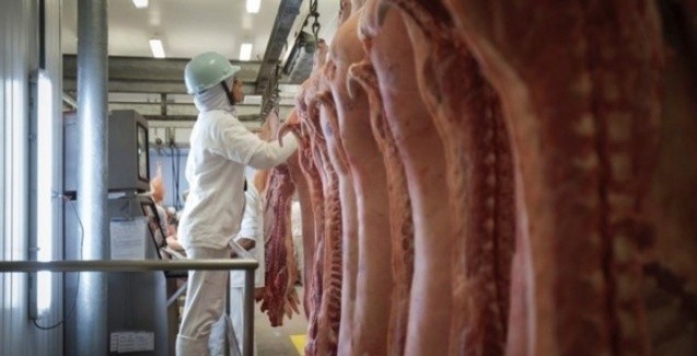 Coreia do Sul abre mercado para carne suína brasileira