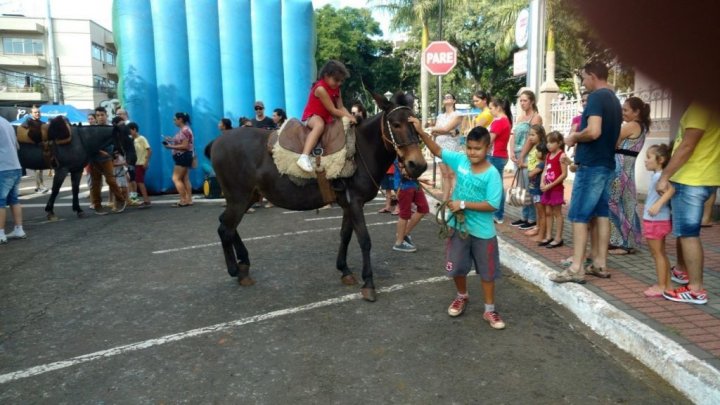 Passeio a Cavalo será nova atividade no Complexo Verdão