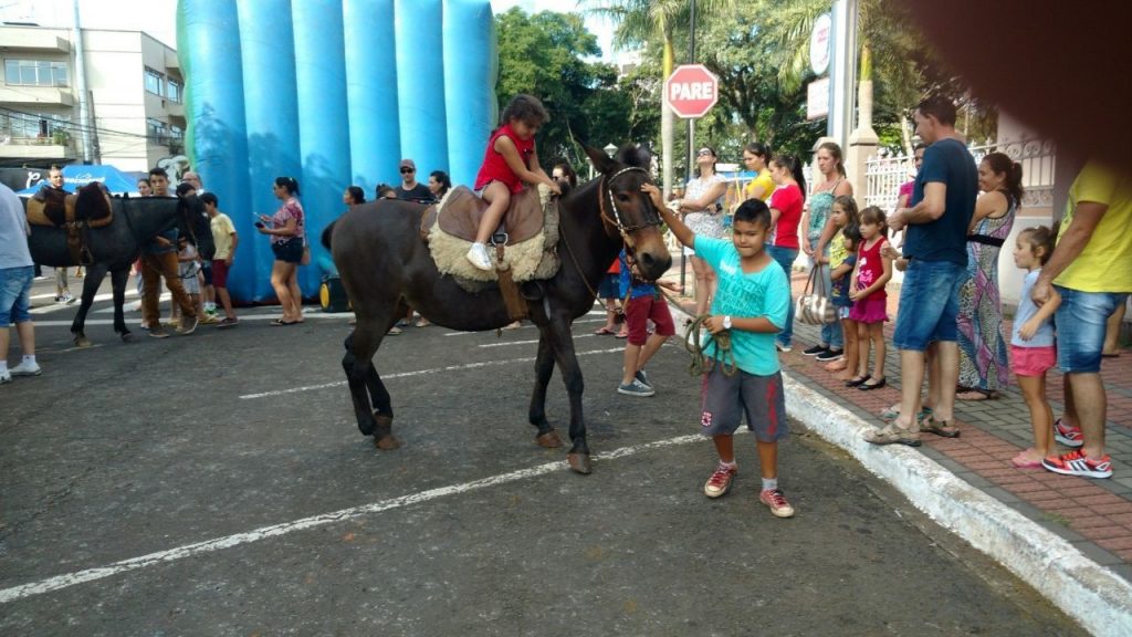 Passeio a Cavalo será nova atividade no Complexo Verdão