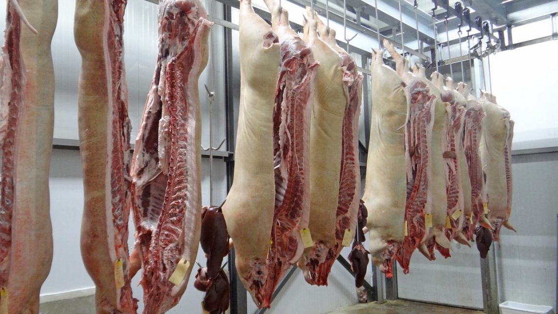 Santa Catarina embarca segundo lote de carne suína para Coreia do Sul
