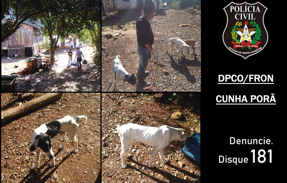 Polícia Civil autua em flagrante casal por maus tratos a animais