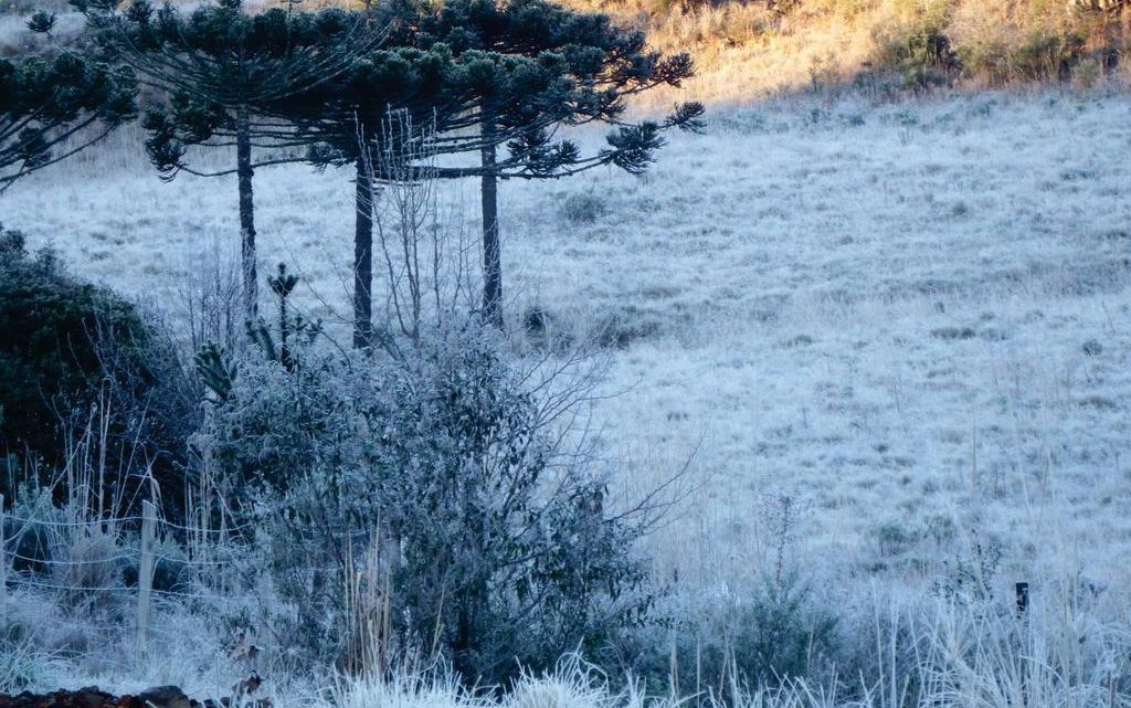 Temperaturas serão negativas nas próximas horas no Planalto Sul Meio Oeste e Oeste de SC