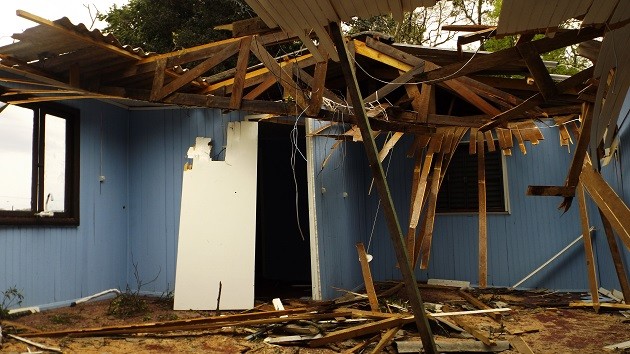 Árvore cai sobre casa no Bairro Efapi em Chapecó