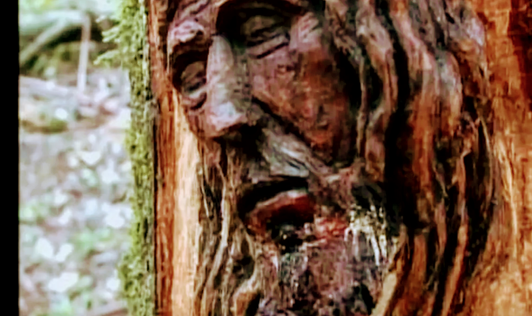 Artista esculpe rosto de Cristo em árvore de parque em Chapecó