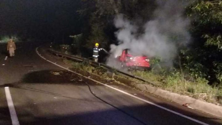 Veículo pega fogo após colidir em árvore em Novo Horizonte